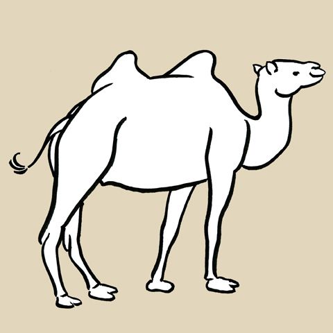 camelflaumhaarsymbol